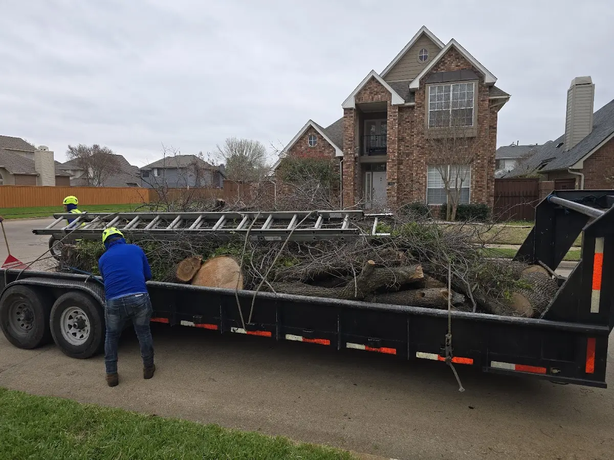 Expert Tree Pest Control with proper safety equipment in Falmouth
